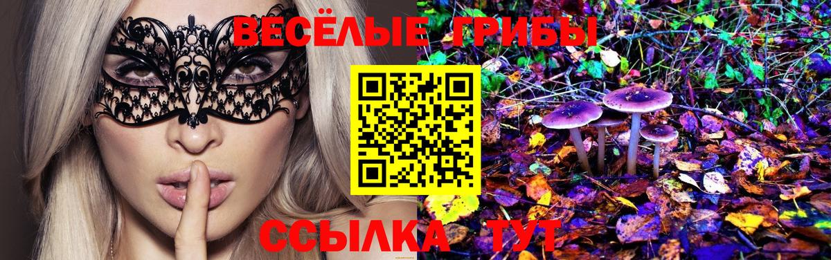 Галлюциногенные грибы Magic Shrooms Грозный