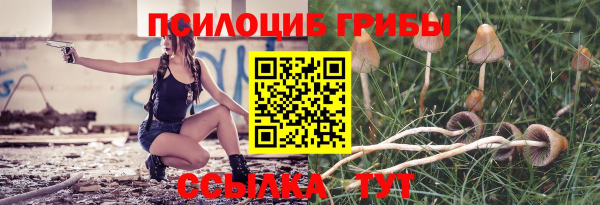 Грозный  Галлюциногенные грибы Cubensis  Псилоцибиновые грибы ЛСД  Вход с VPN 